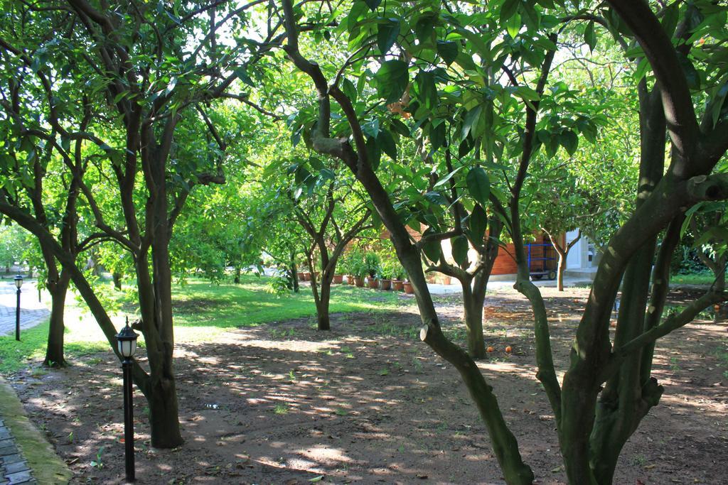Yildiz Pension Bungalows Çıralı Esterno foto
