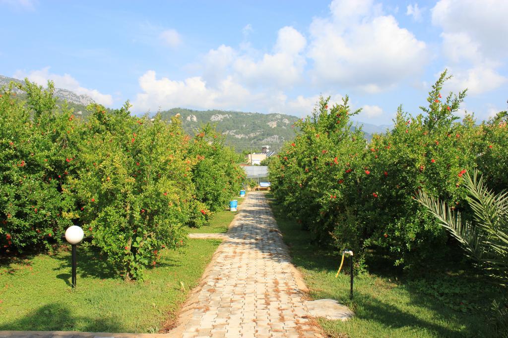 Yildiz Pension Bungalows Çıralı Esterno foto