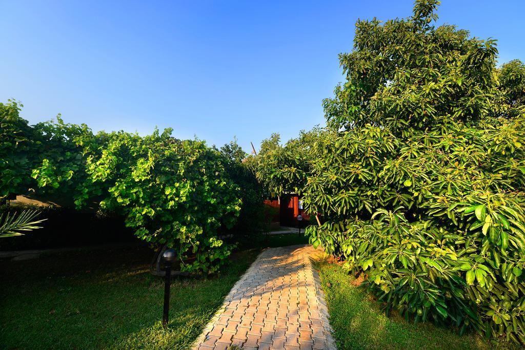 Yildiz Pension Bungalows Çıralı Esterno foto