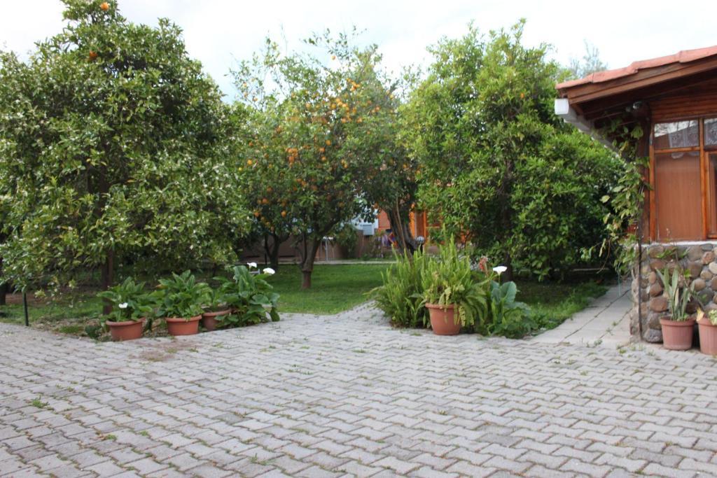 Yildiz Pension Bungalows Çıralı Esterno foto